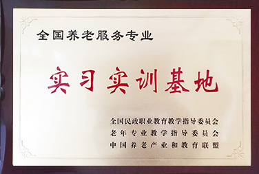 企业荣誉